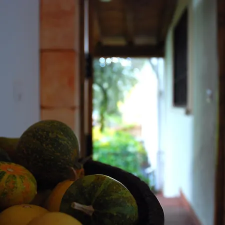 El Cardenillo Madrigal de la Vera